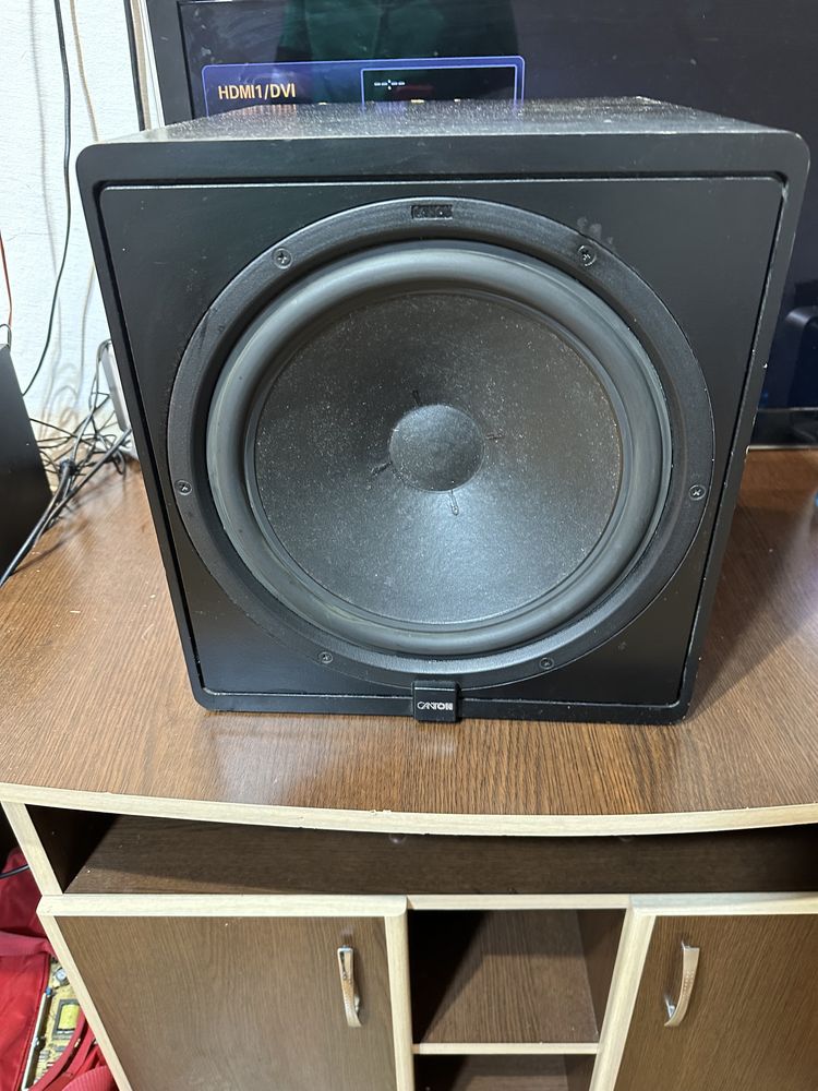 Subwoofer canton plus c muzica muzica muxica