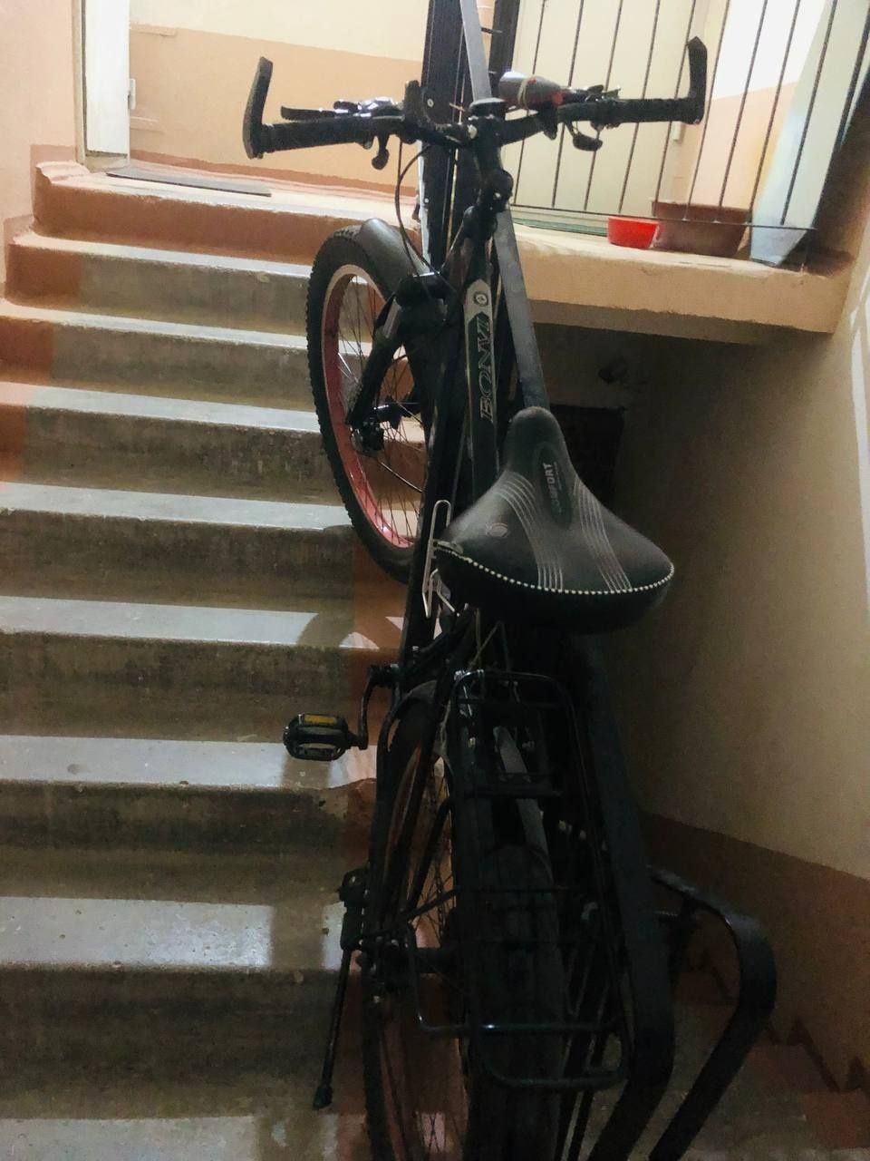 Velosifed skorisli, kotta balonli 28