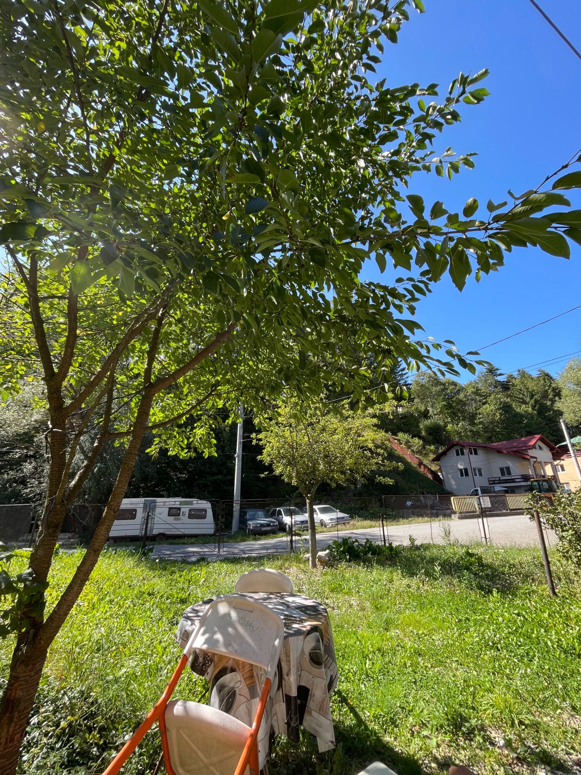 Vand sau schimb apartament 3cam in vila Busteni