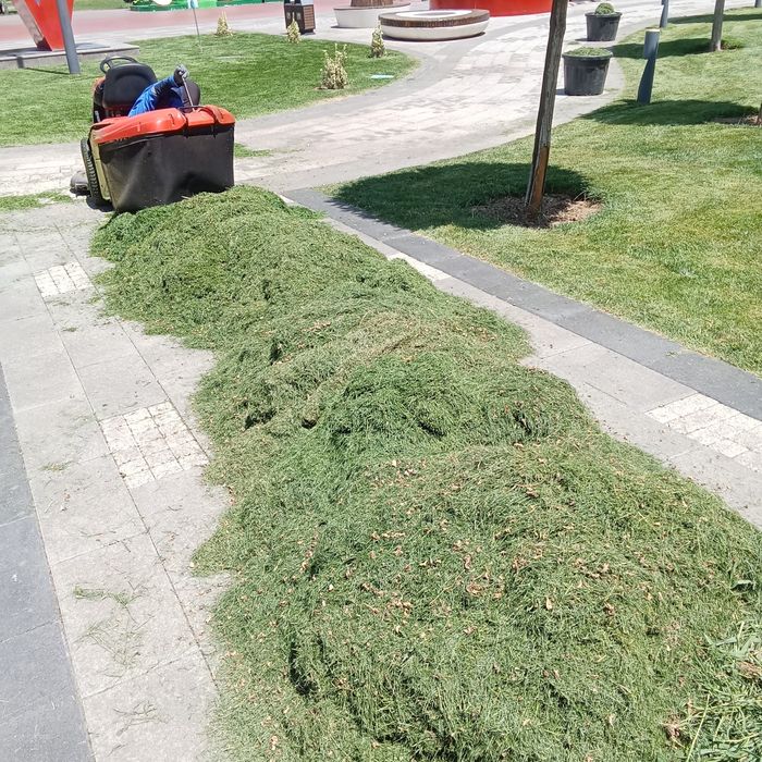 Трава свежая скошенная