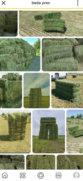 Беда прес сотилади  500донa