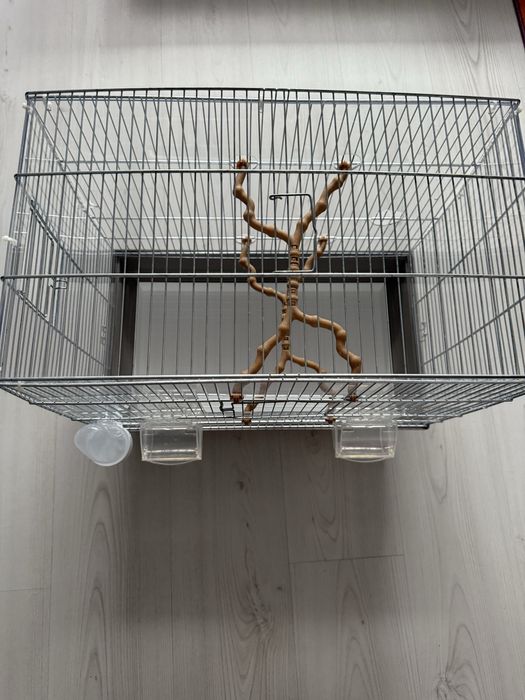 Vand cusca perusi/ papagali