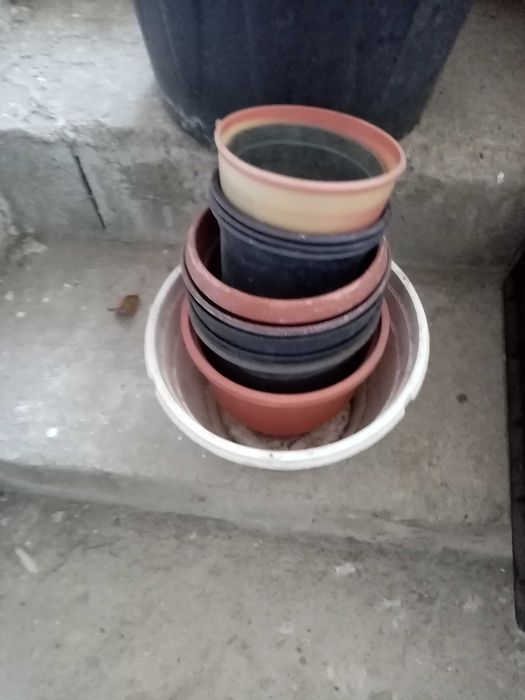 ghivece plastic rezistente