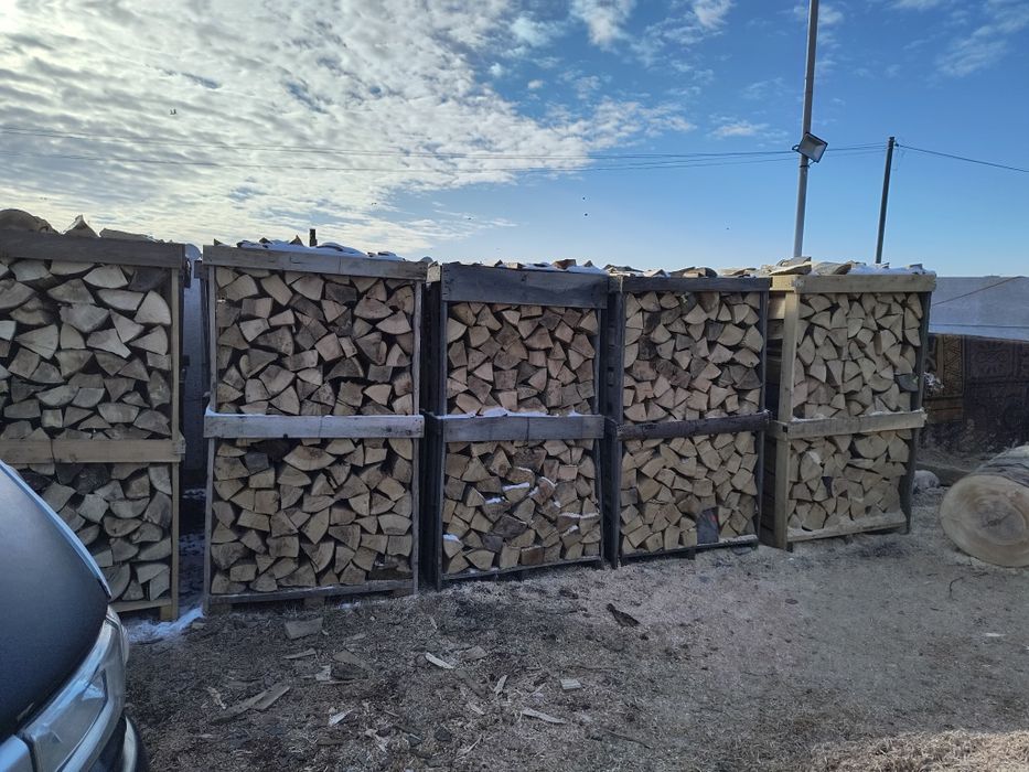 Lemn foc fag paletizat, sau buștean