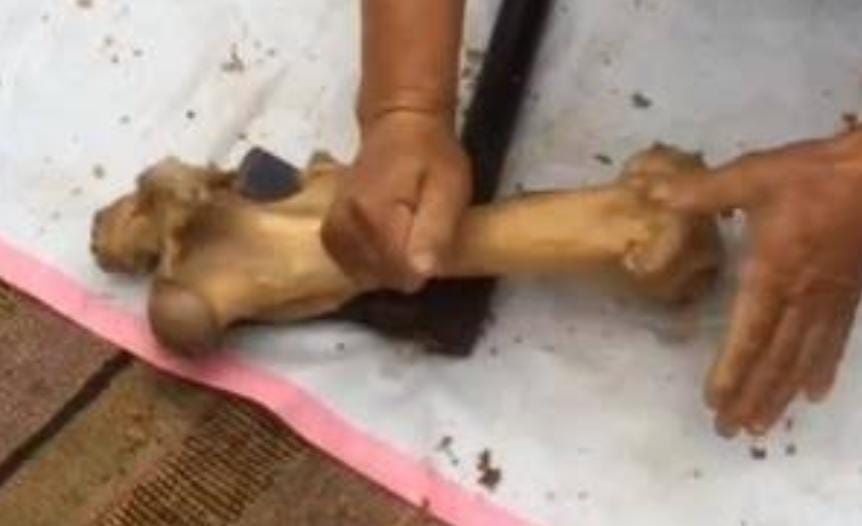 Жылқының жілігі сатылады