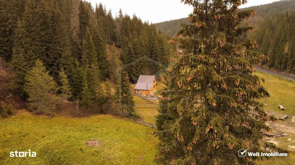Cabana la munte in comuna Belis, judetul Cluj