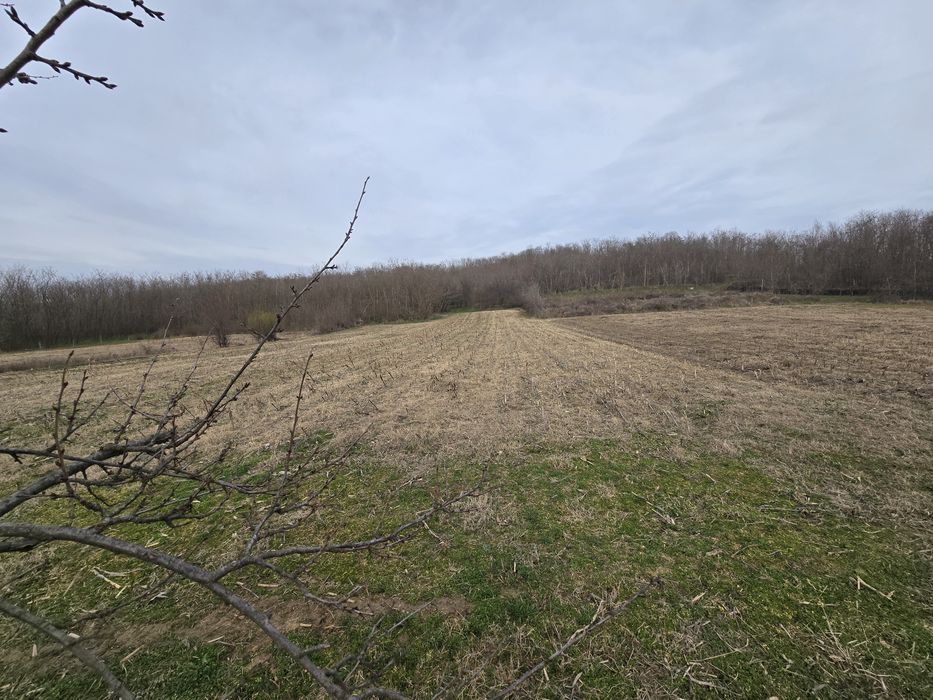 Teren de vânzare Intravilan, Olanu, 3200mp²