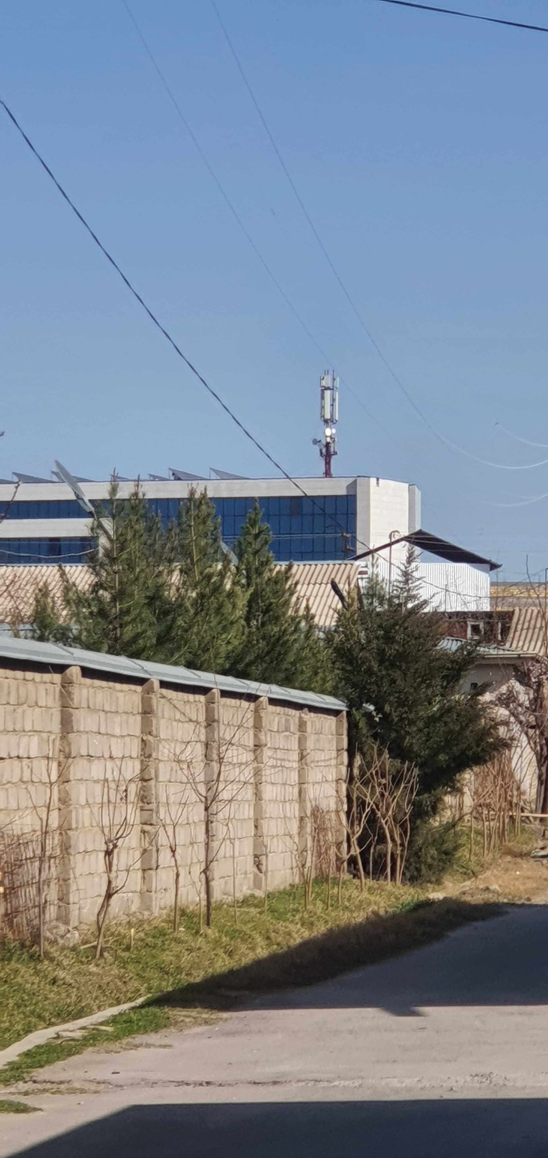 Ижора студентлар учун Сам гасида!!!