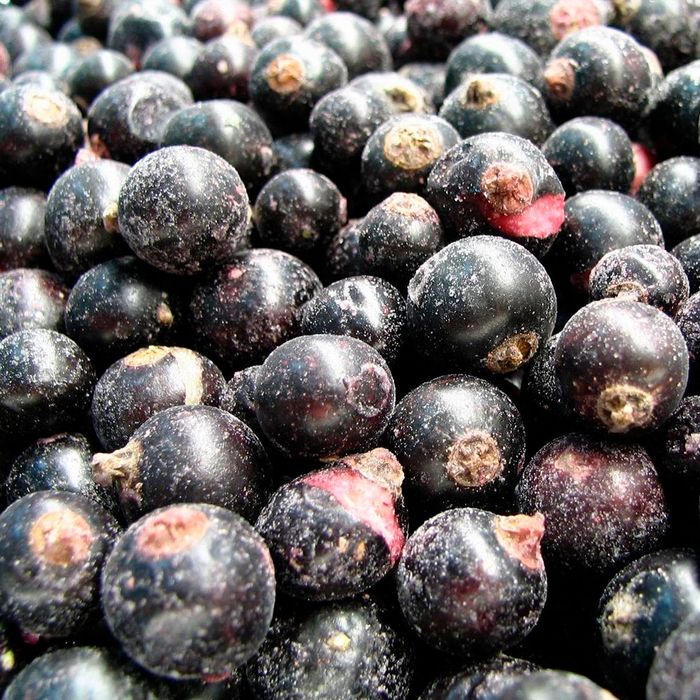 Смородина черная свеже-мороженная