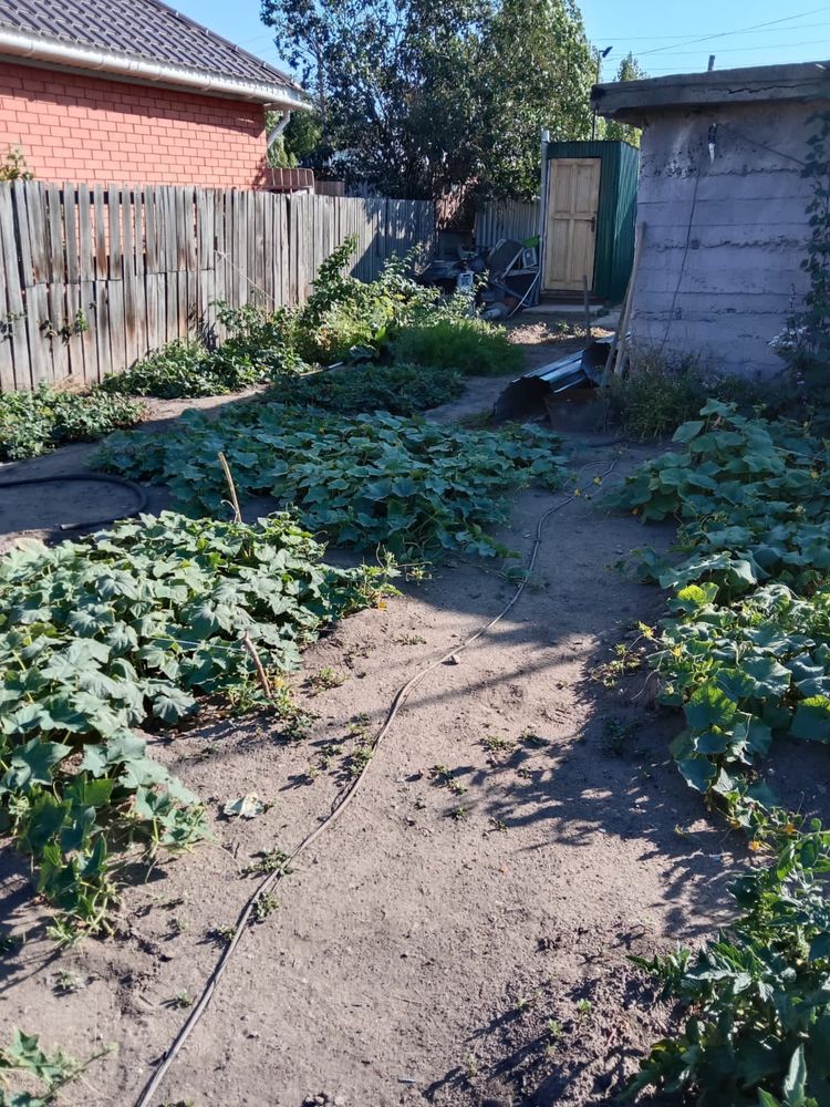 Продам два дома