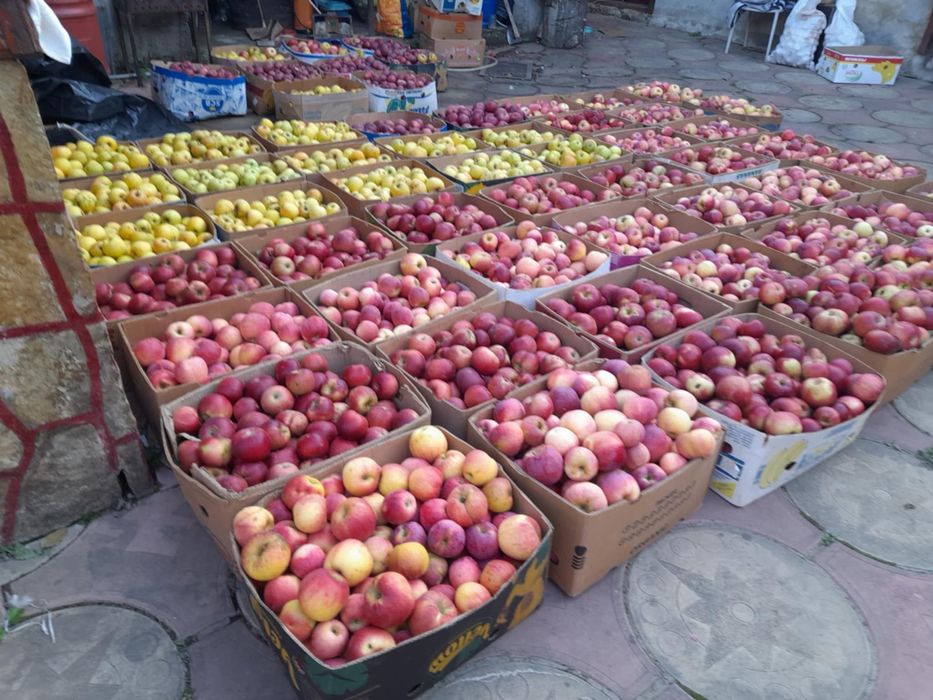 Vânzare mere de calitate – pentru consum și suc