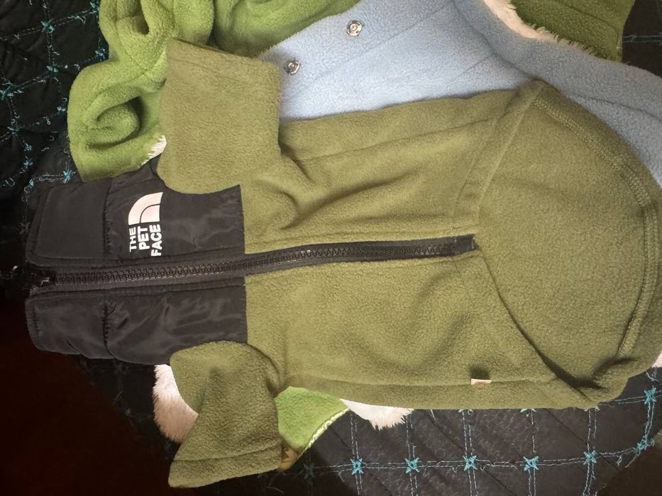 Одежда, куртки, свитера для сфинкса