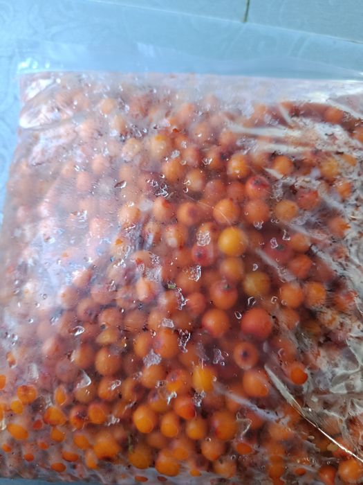 Облепиха сбор 2025, замороженная