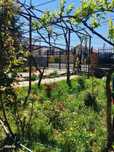 Casa + teren 871 mp - Valu lui Traian - Constanta