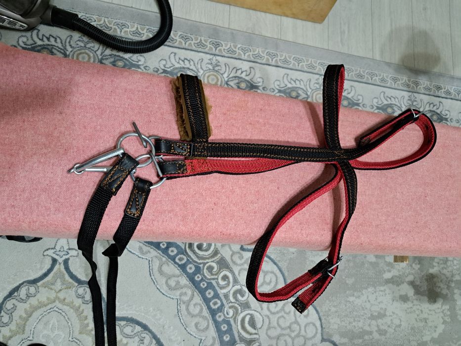 Жуген нокта сатылады