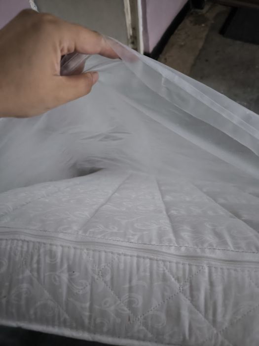 Saltele patut bebelusi