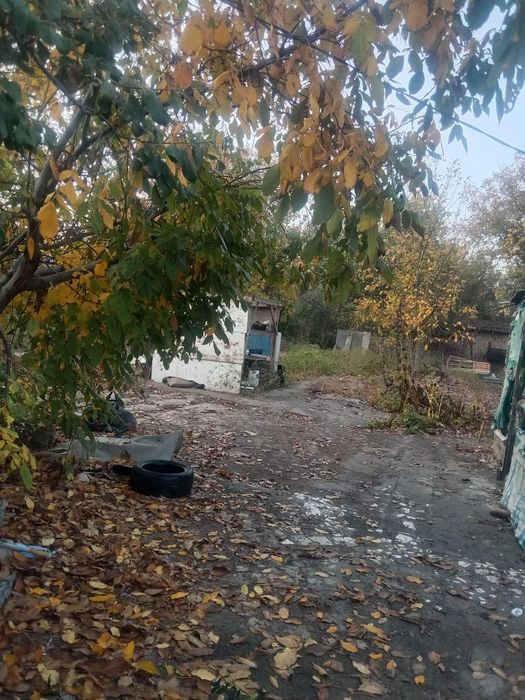 Дача Кайнарбулак