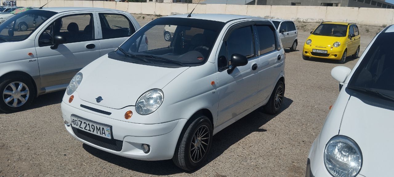 Matiz egalaridan