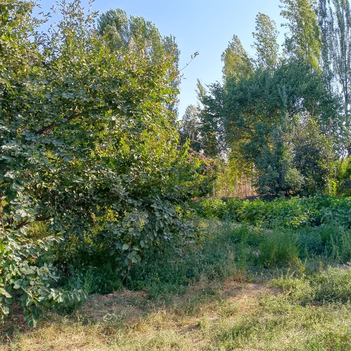 Юкори Чирчик туманида ер участками сотилади