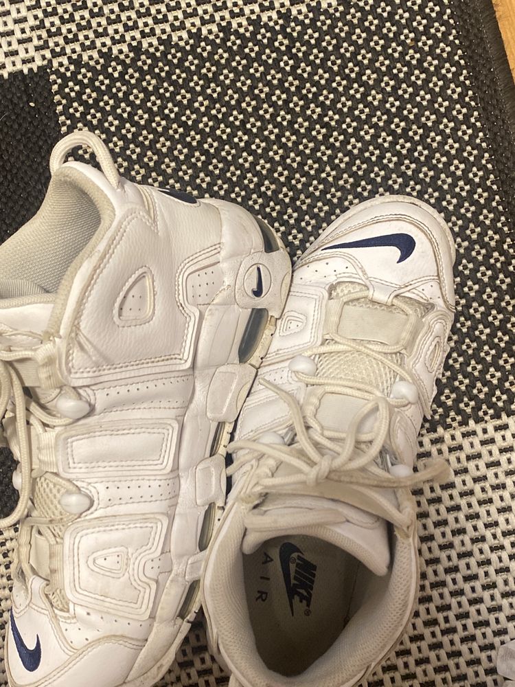 nike uptempo albi