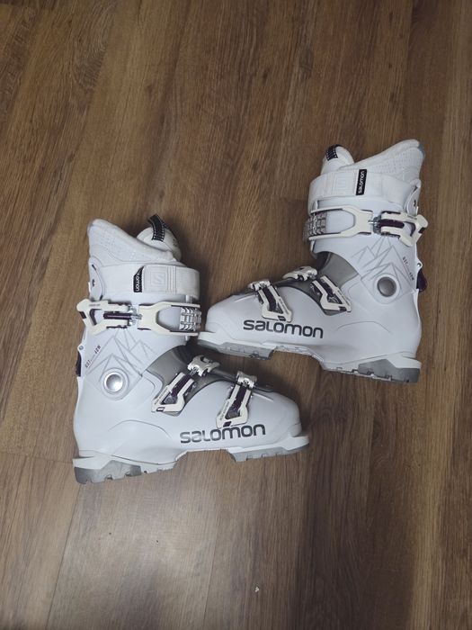 Clăpari Solomon dama