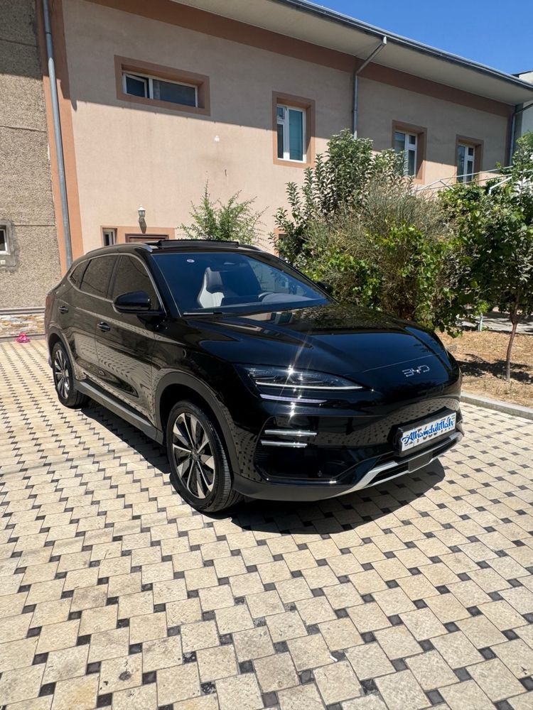 BYD Chimpiyon 605 Full