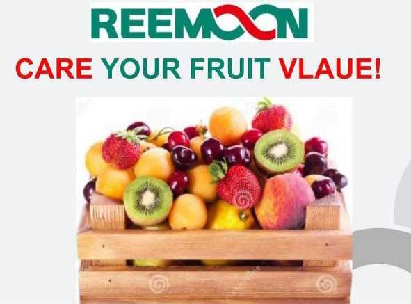 Reemoon Technology Holdings