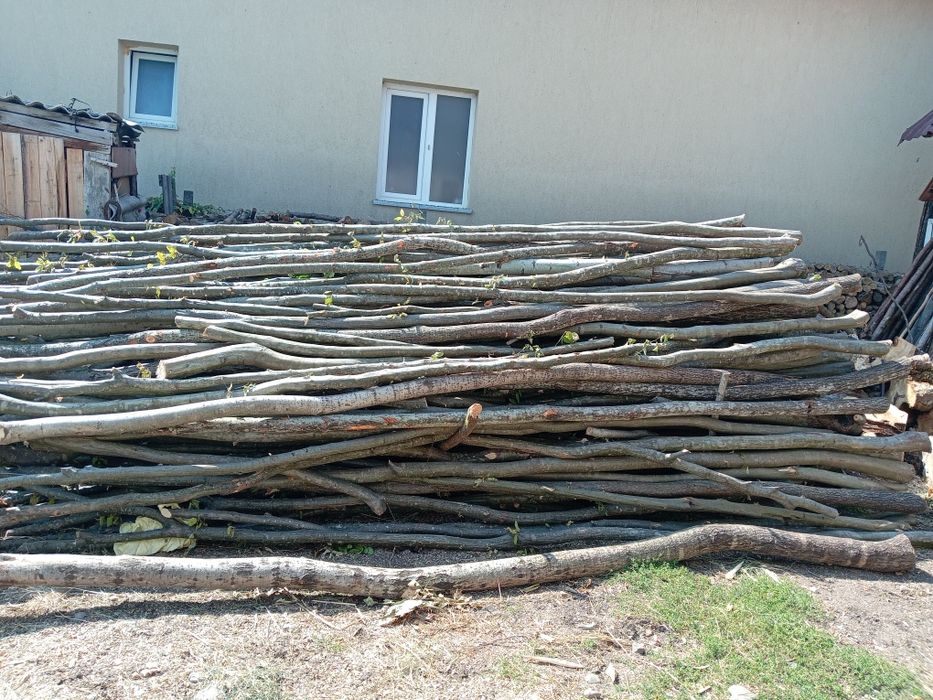Vând lemne de pașune 600 lei pe căruță