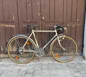 Cursiera Meister 57cm