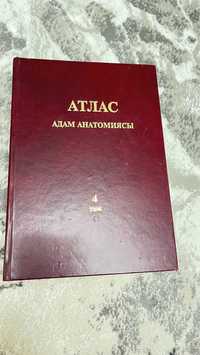 Адам анатомиясы атлас 4 том