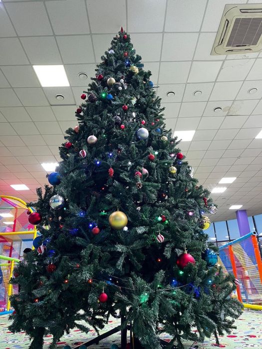 продаеться ёлка.