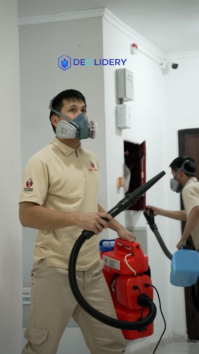 Дезинфекция уничтожение Тараканов клопов ну уничтожение насекомых