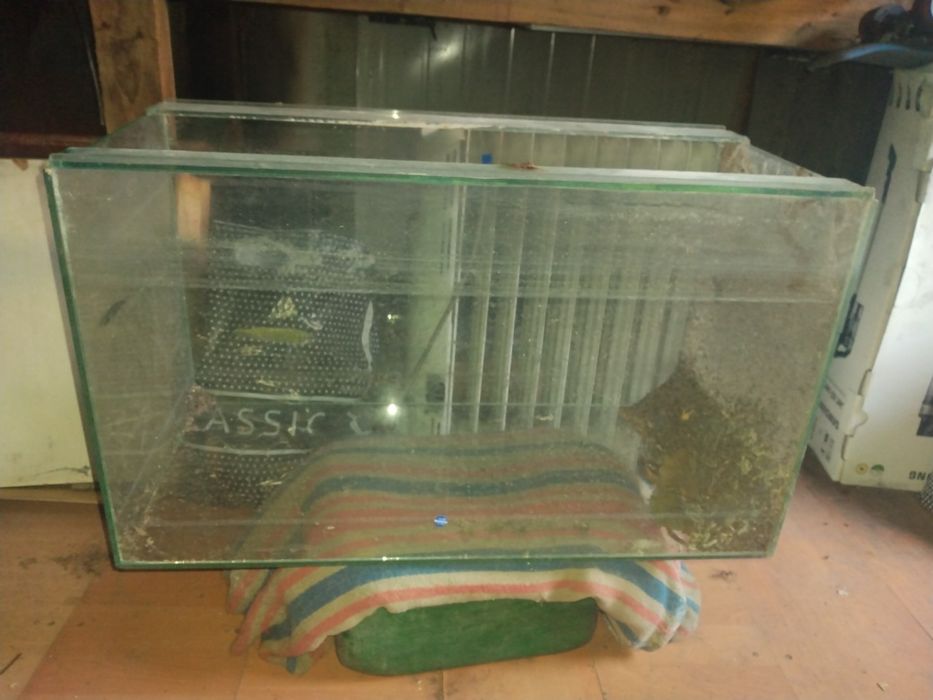 Аквариум  на сто литров