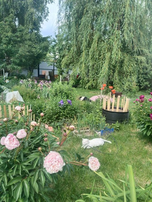 Продам зимнюю дачу в городе