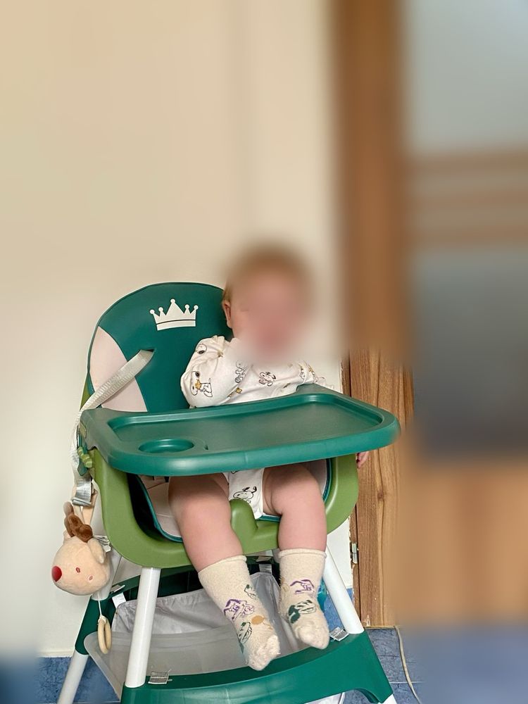 Scaun masa bebe