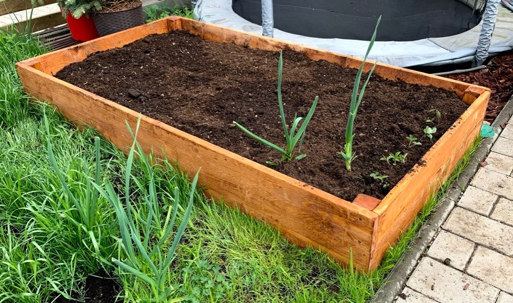 Lada de legume, straturi, gradinarit eco, mulcire (raised bed)