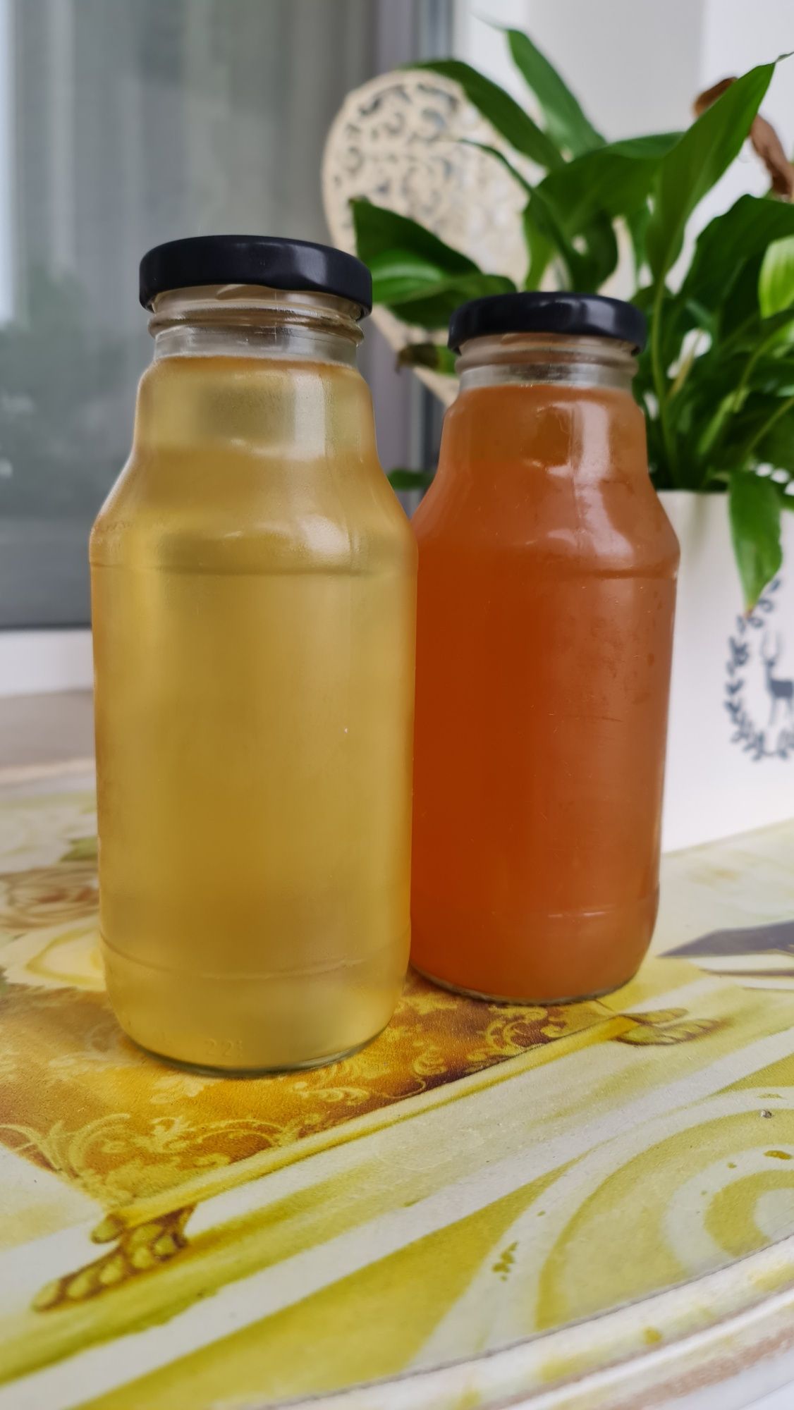 Ceai kombucha/ciuperca cu starter