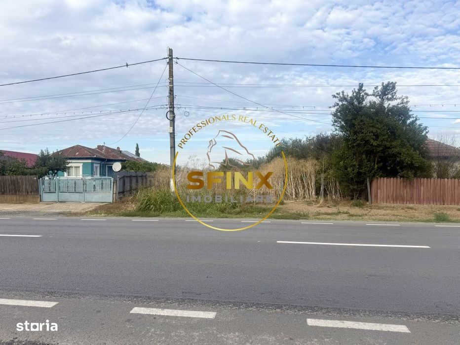 Teren 3905 mp Manasia, pozitie la drum judetean