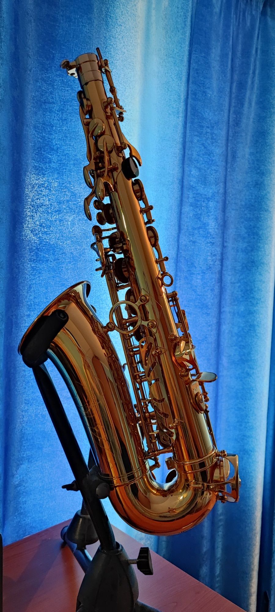 Saxofon Arnold and Sons AAS-100 , Pentru Incepatori