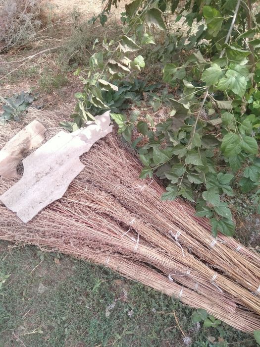 Qauli wipirgilar sotiladi 30mingdan