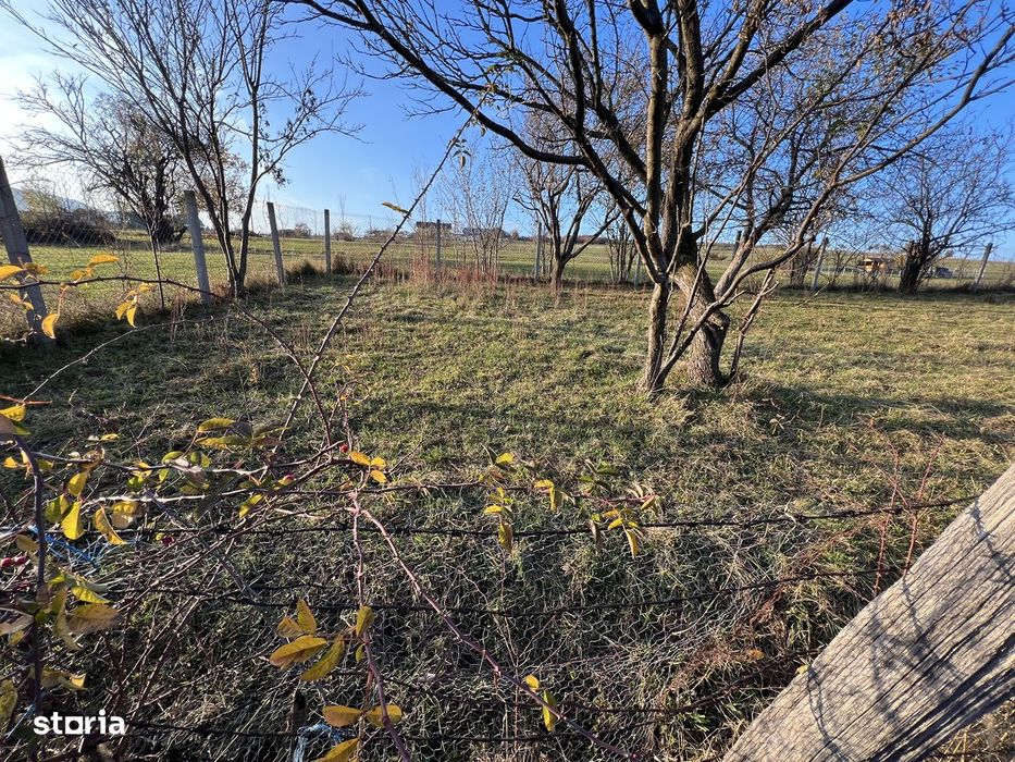 Teren de vânzare –ideal pentru cabană – Rășinari, jud. Sibiu (2000 mp)