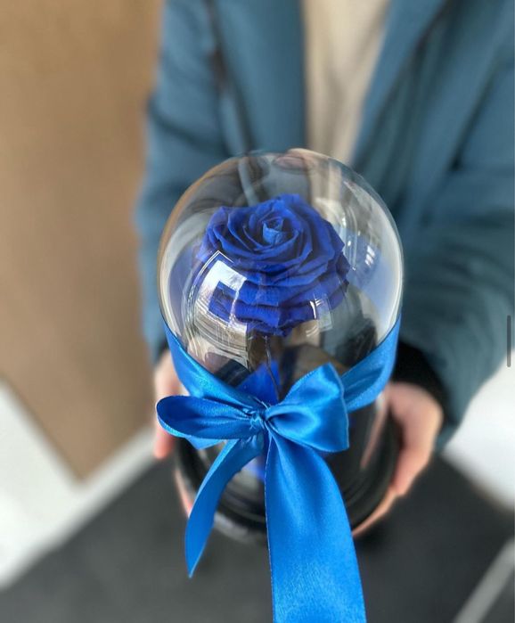 Роза пол куполом