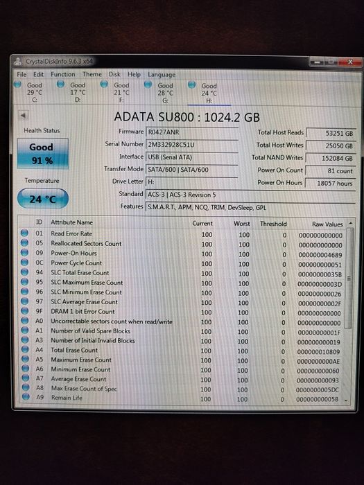 SSD Adata SU800 1 tb