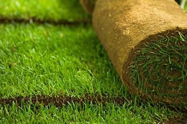 Gazon Rulou , Sisteme de irigatie Calitate Extra