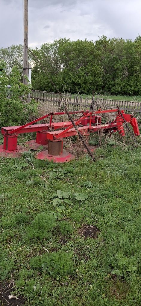 Продам действующий КХ.