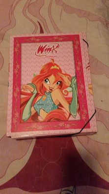 Папка Winx