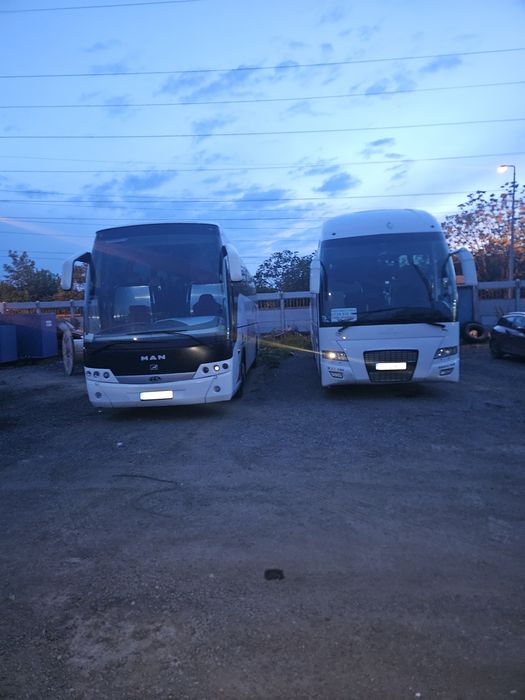 Închirieri autocare pentru curse ocazionale, excursii școlare, etc.