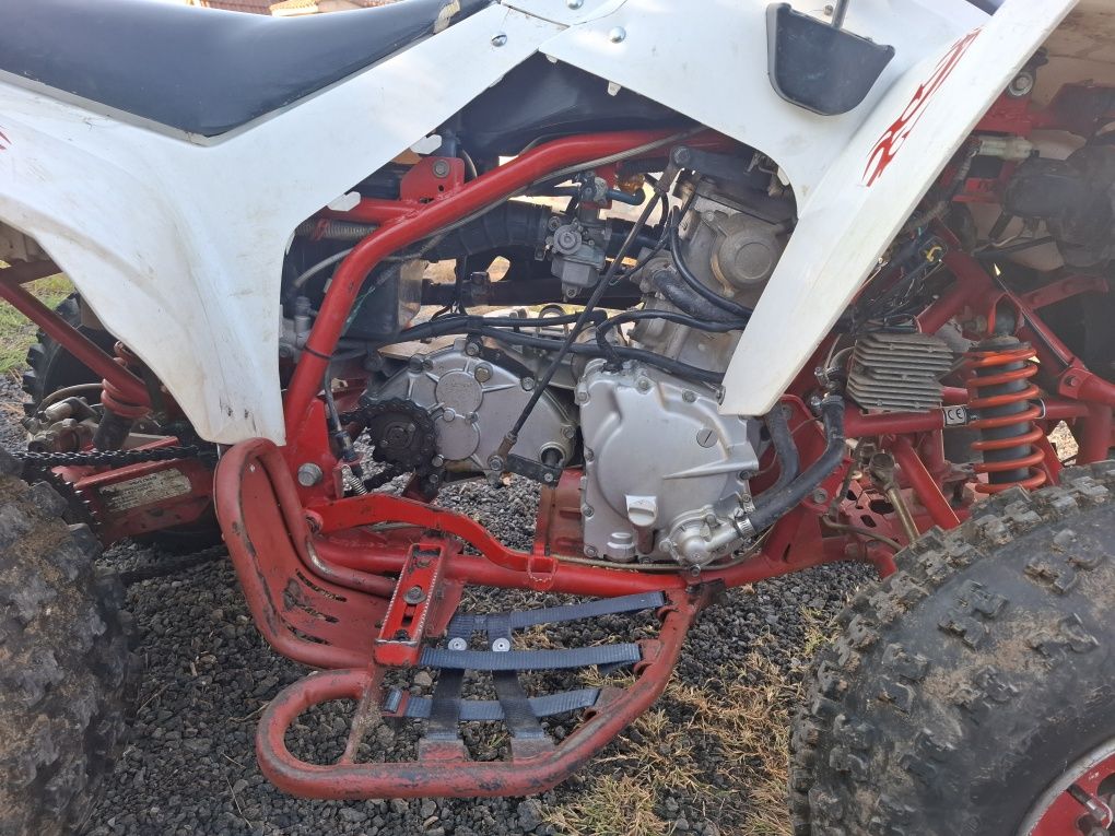Can-Am DS 250 2009