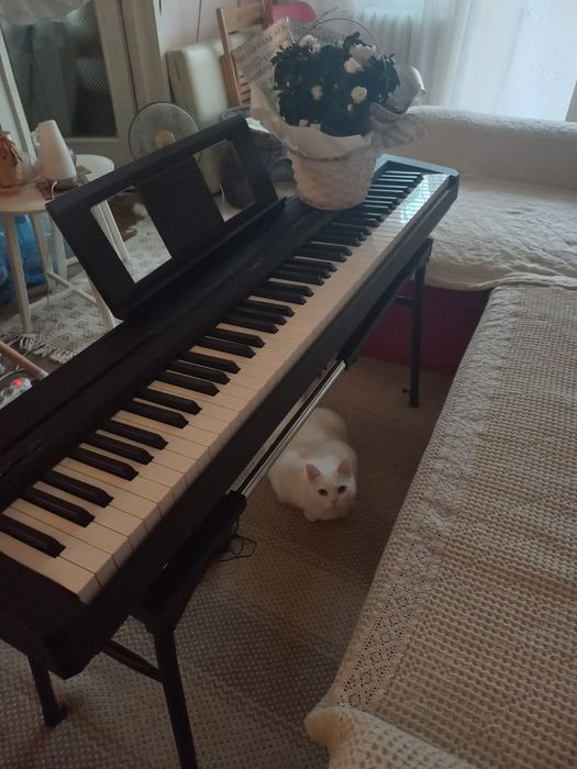 Yamaha P-45B, pian digital portabil cu 88 clape - Este NOU ! Timișoara