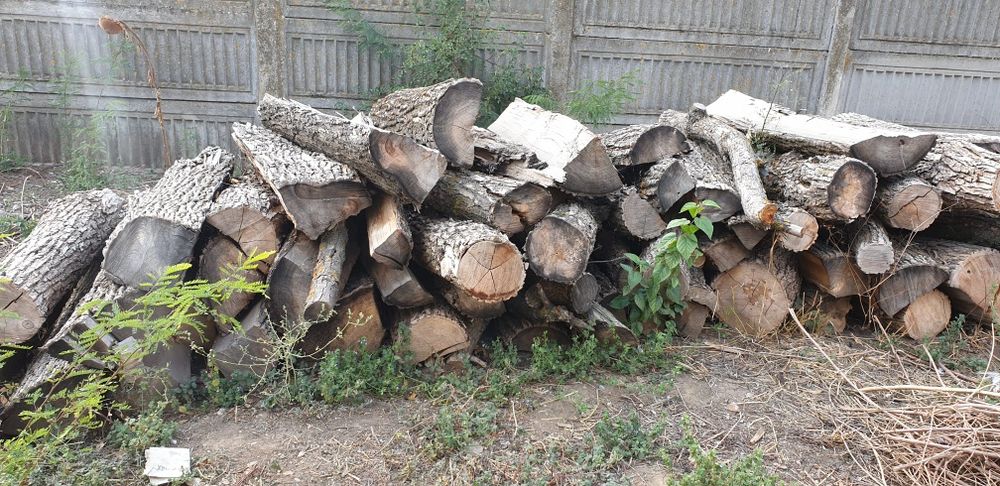 Vand 15 m³ de lemne esență tare